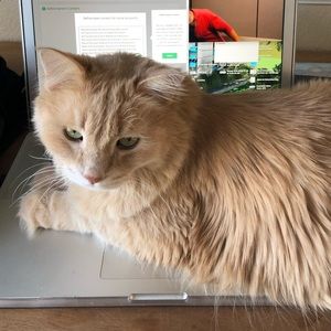 Meet your Posher, Isa